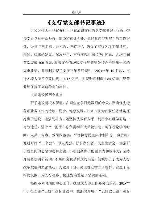 《支行党支部书记事迹》