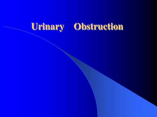 外科学课件：泌尿系统梗阻Urinary Obstruction(英文)