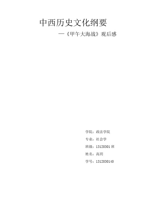 《甲午大海战》观后感