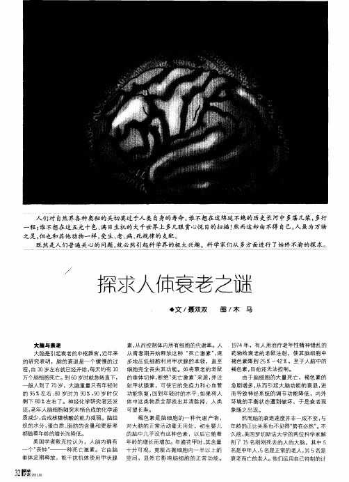 探求人体衰老之谜