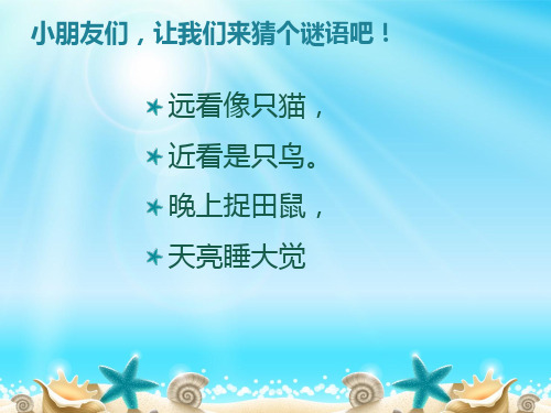 小小猫头鹰