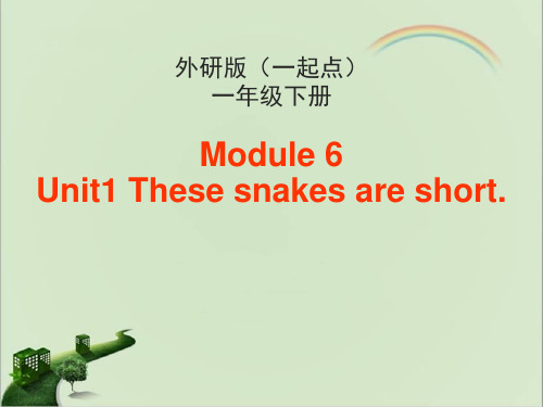 外研版一年级英语下册Module6 Unit1课件-新版