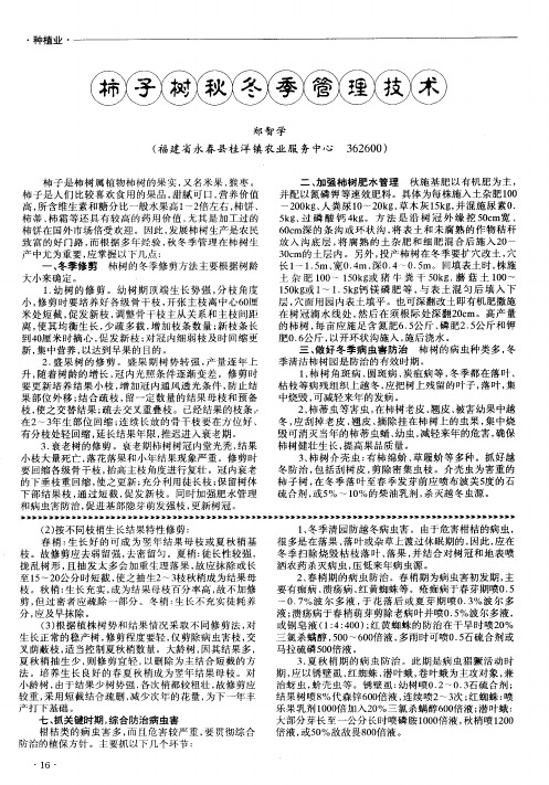 柿子树秋冬季管理技术