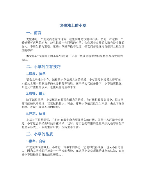 戈壁滩上的小草作文字(实用2)