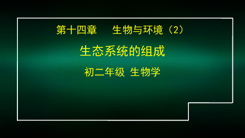 初一生物学(北京版)-第十四章生物与环境 -14.2生态系统的组成-2PPT课件