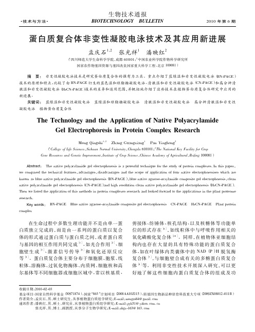 蛋白质复合体非变性凝胶电泳技术及其应用新进展汇总.