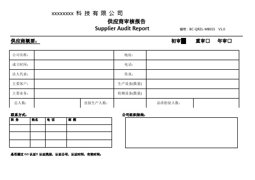 供应商审核报告