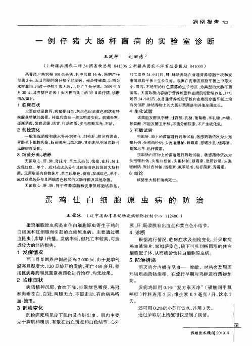 一例仔猪大肠杆菌病的实验室诊断
