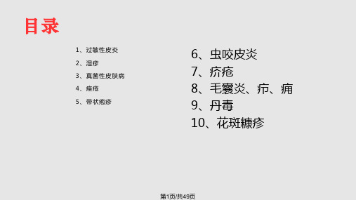 常见皮肤病防治PPT课件