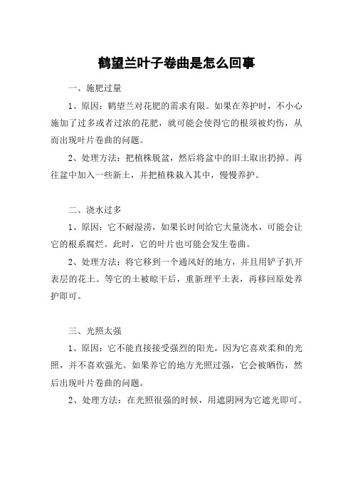 鹤望兰叶子卷曲是怎么回事