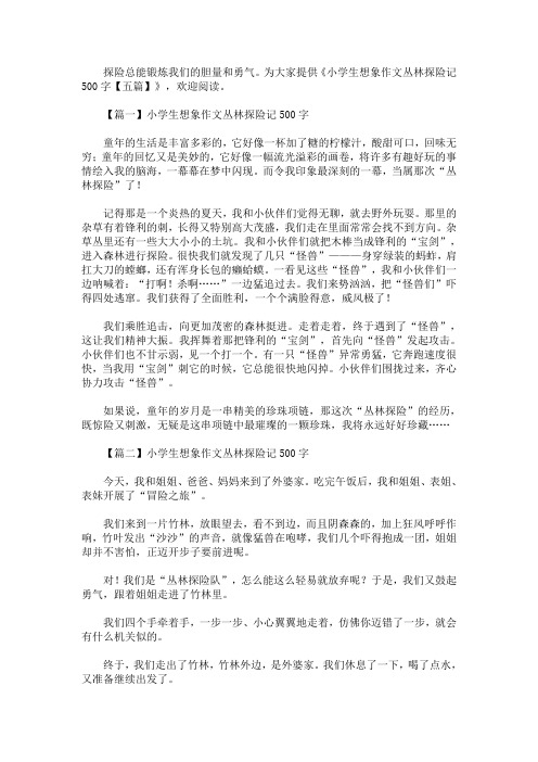 小学生想象作文丛林探险记500字【精选汇编】(最新)