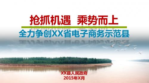 【最全最详细】县级电子商务示范县建设PPT