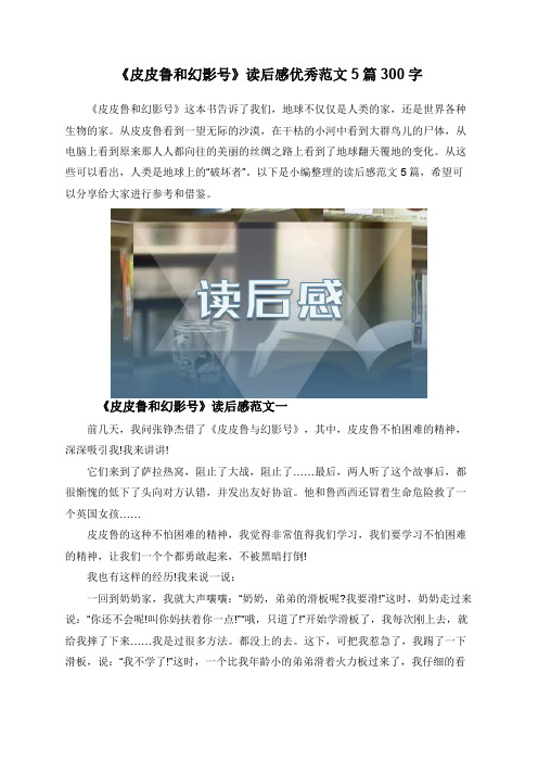 《皮皮鲁和幻影号》读后感优秀范文5篇300字