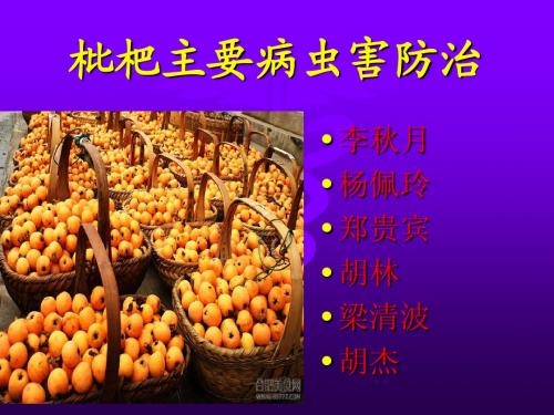枇杷主要病虫害诊治