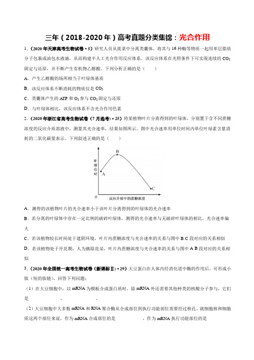 三年(2018-2020年)高考真题分类集锦：光合作用(原卷版+解析版)