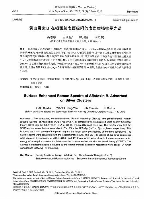 黄曲霉素B1在银团簇表面吸附的表面增强拉曼光谱