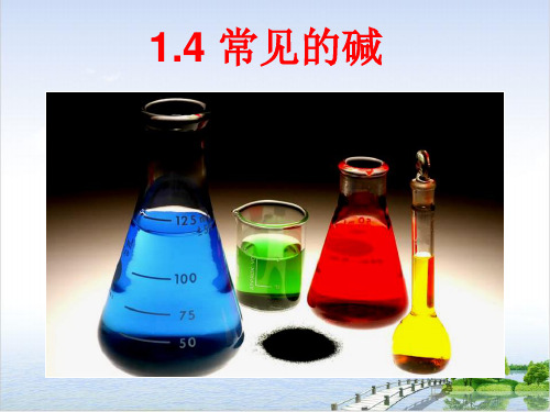 九年级上科学常见的碱pptppt浙教版