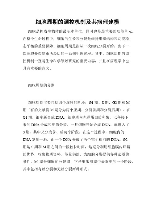 细胞周期的调控机制及其病理建模