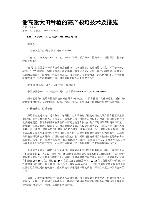 甜高粱大田种植的高产栽培技术及措施