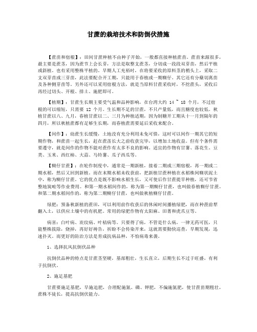 甘蔗的栽培技术和防倒伏措施