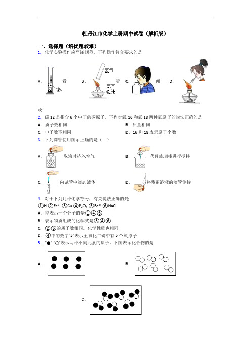 牡丹江市初三化学上册期中试卷(解析版)