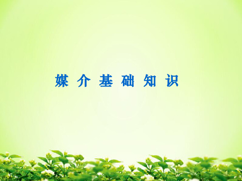 媒介基础知识