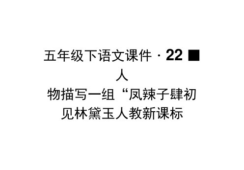 五年级下语文课件-22.人物描写一组“凤辣子”初见林黛玉人教新课标