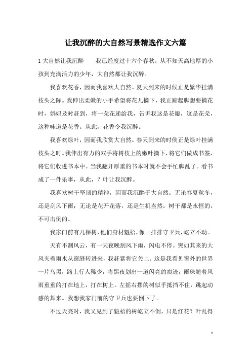 让我沉醉的大自然写景精选作文六篇