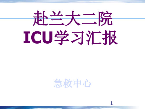 ICU学习总结ppt课件