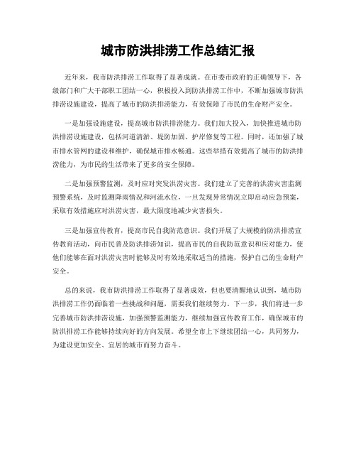城市防洪排涝工作总结汇报