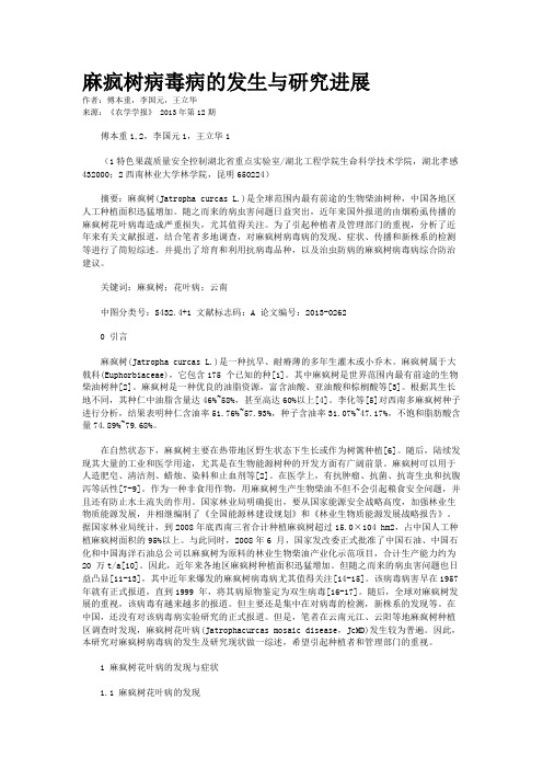 麻疯树病毒病的发生与研究进展