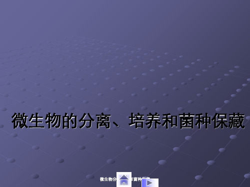 微生物分离培养和菌种保藏