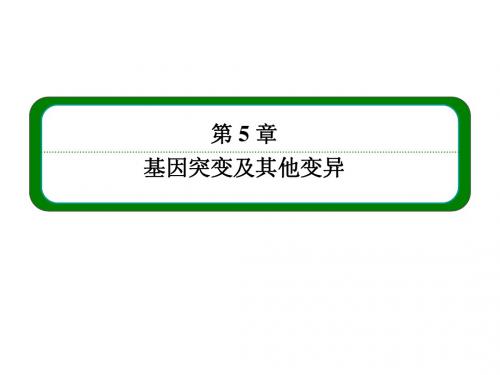 【名师一号】14-15人教生物必修2课件：5-1基因突变和基因重组