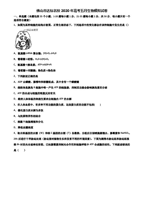 佛山市达标名校2020年高考五月生物模拟试卷含解析
