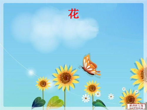 小练笔写一种我喜爱的花