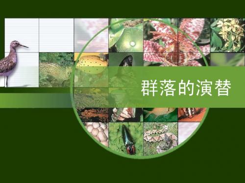 群落的演替