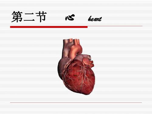 心分析课件