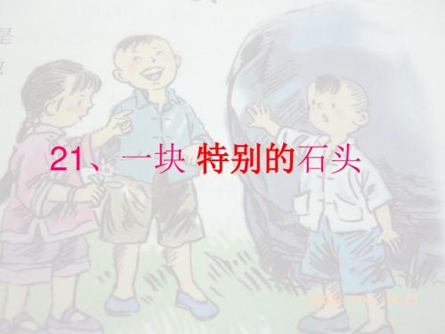 一块特别的石头