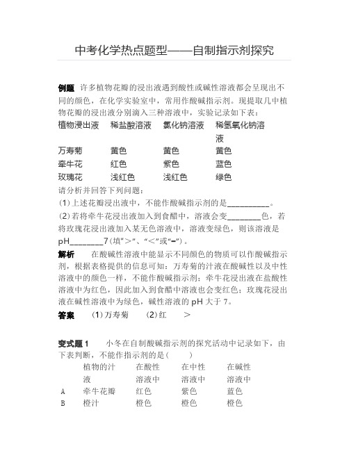 中考化学热点题型——自制指示剂探究