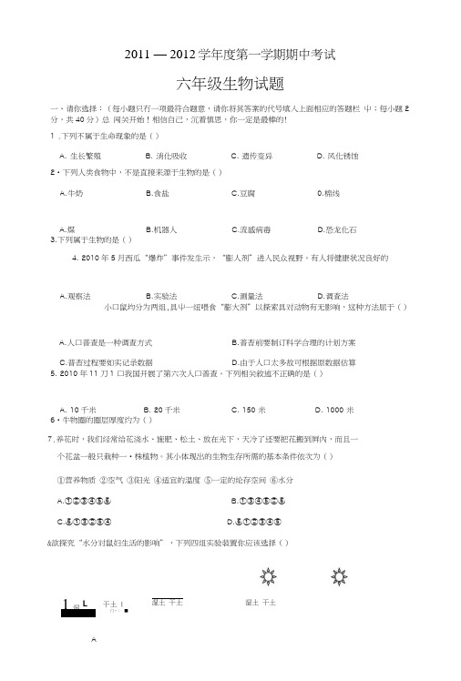 六年级试题_图文.doc