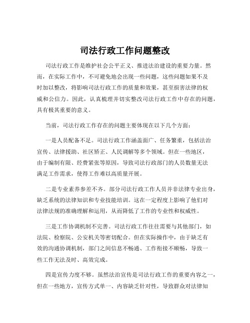 司法行政工作问题整改