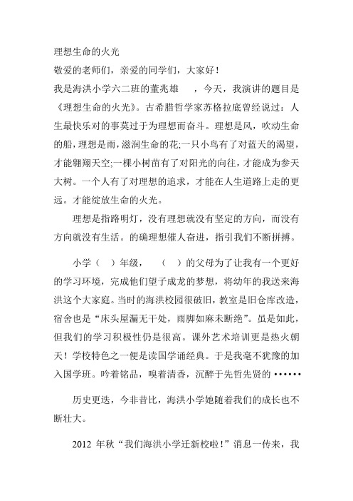 理想生命的火光