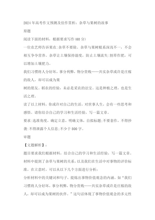 2024届高考作文预测及佳作赏析：杂草与果树的故事