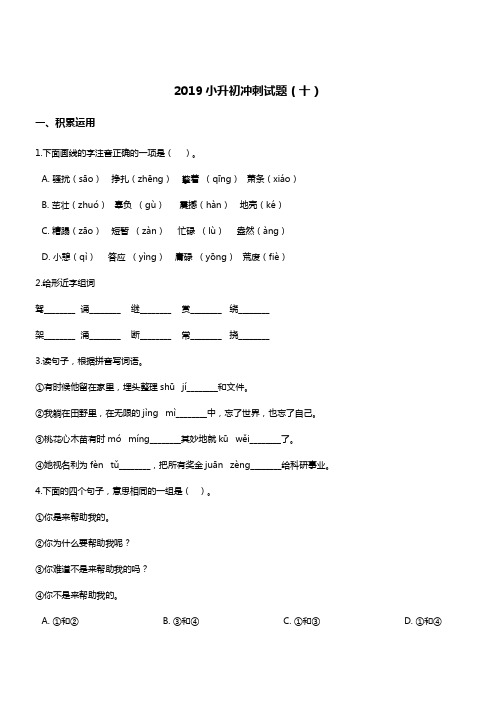 2019年小升初名校冲刺语文试题(10) 人教新课标 含答案