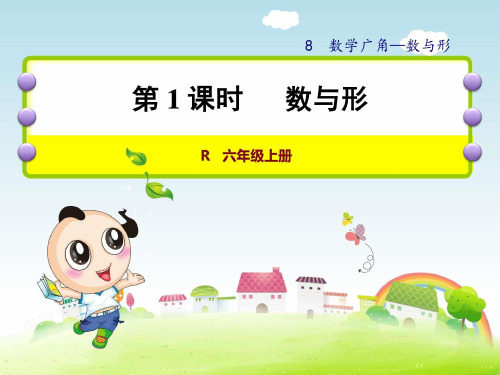 人教版六年级数学上册第8单元数学广角数与形PPT课件