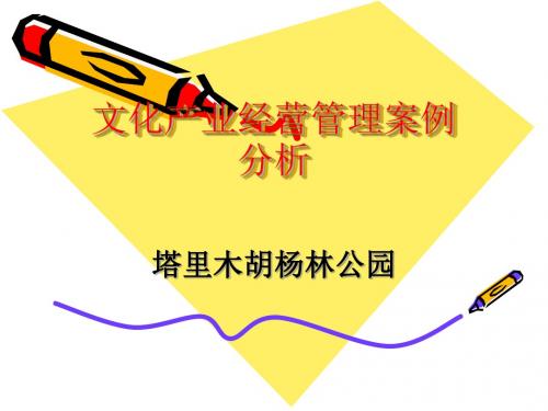 文化产业经营管理案例分析  作业