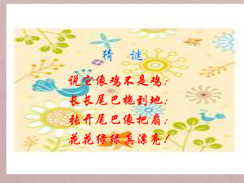 小学美术二年级下册《第7课美丽的孔雀》PPT课件