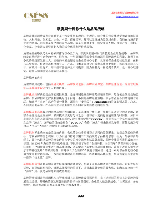 欧赛斯告诉你什么是品牌战略