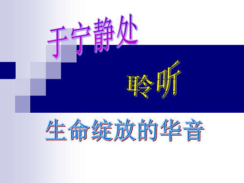 “静能生慧”主题班会
