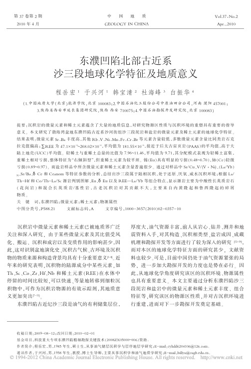 东濮凹陷北部古近系沙三段地球化学特征及地质意义